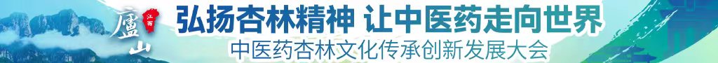 www.想被操逼中医药杏林文化传承创新发展大会